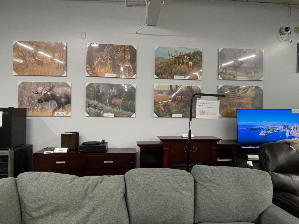 Wildlife Wall pictures
